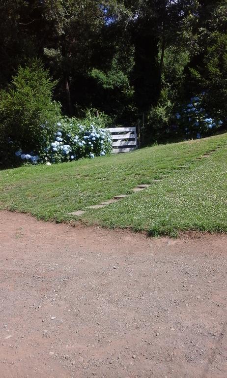 Bosque Del Lago Pucón Exterior foto